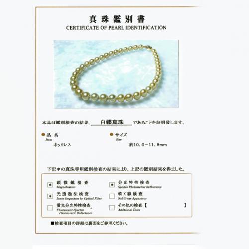ジェムラインジャパン - 公式サイト - / 真科研鑑別書付 南洋