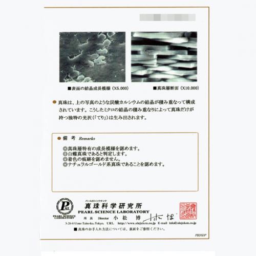 ジェムラインジャパン - 公式サイト - / 真科研鑑別書付 南洋
